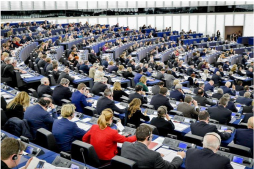 Avrupa Parlementosunun Arakanlılara karşı şiddeti durdurma kararı