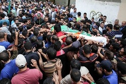 自特朗普宣布古都斯为犹太复国主义政权首都之日起至今已有316名巴勒斯坦人牺牲