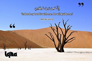 Verse fürs Leben: Leitfaden für immer und ewig