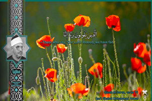 Video | Wunderschöne Rezitation von „Shahat“ aus Sure Al-Imran