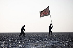 Fotogalerie: Arbaeen-Pilger auf dem Weg von der südlichsten Stadt des Irak nach Kerbela