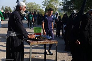 Liebhaber Husseins auf dem Weg von Nadschaf nach Karbala