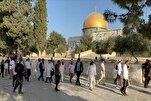 27 Angriffe auf die Al-Aqsa-Moschee im Dezember