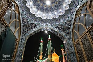 Pilgrims Visit Hazrat Masoumeh Holy Shrine on Holy Prophet’s Birthday
