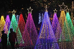 Christmas Lights Shining Bright Around The Globe
