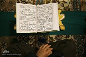 Surah Al-Masad; An Overview