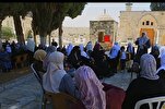 Israeli Regime Seeking An End to Quranic Activities at Al-Aqsa Mosque  