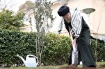 Ayatollah Khamenei Plants Olive Tree in Solidarity with Palestine