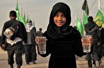 Over 650,000 Iranians in Iraq for Arbaeen So Far