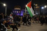 Arbaeen Procession Should Echo Fight Against Today's Oppressors: Scholar