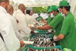 Comprehensive Plan in Mecca, Medina Aims to Ensure Hajj Pilgrims’ Health, Safety