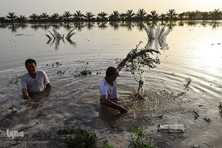 سیل در روستاهای غزاویه اهواز
