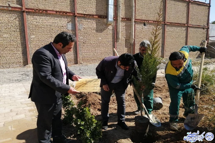 رویدادی//آئین کاشت 23 درخت سرو به یاد مشاهیر کاشمری برگزار شد