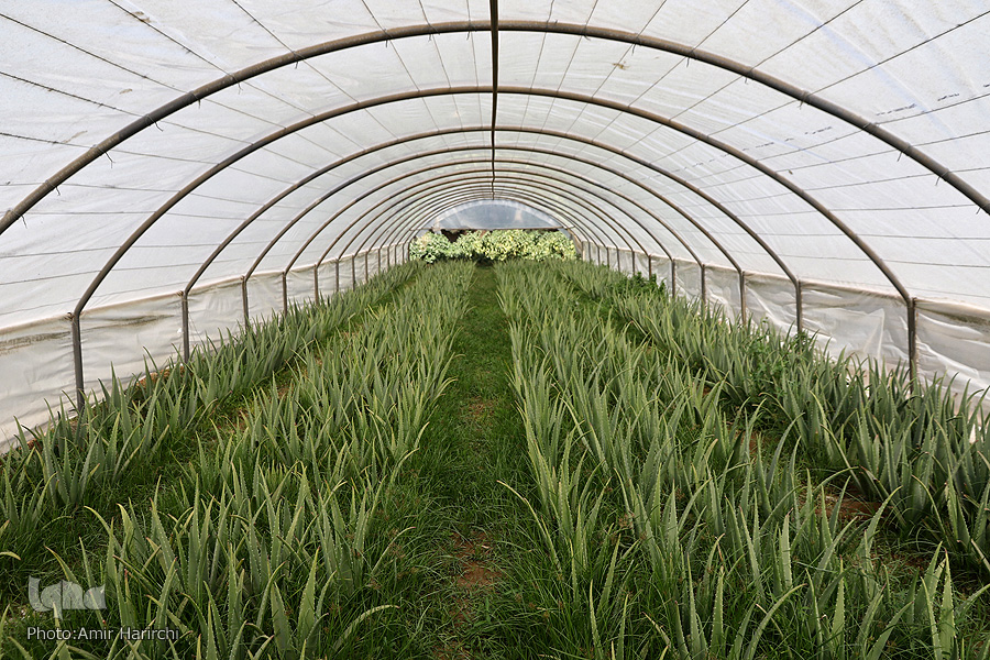 روایتی خواندنی از وقف یک موقوفه 130 ساله