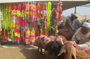 نام‌های مختلف عید قربان در کشورهای اسلامی