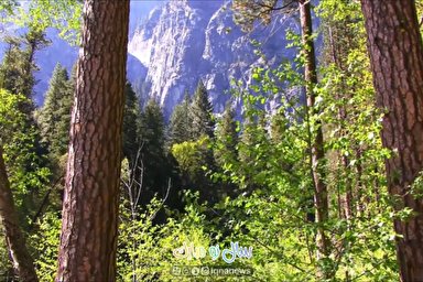 ویدئوکست | بهار، یادآور رستاخیز انسان