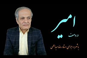 فیلم | علی(ع) را در شب تیره یتیمان ز بوی مهربانش می‌شناسند