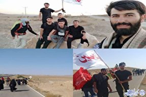 قدم در جاده عاشقی مشهدالرضا(ع)