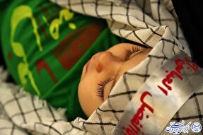 عکس| همایش شیرخوارگان مهدوی در بوشهر