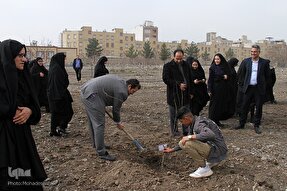 عکس | کاشت نهال در مشهد