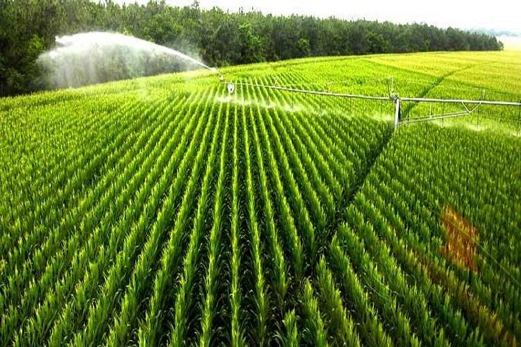 لزوم ردیابی ارزش آب در محصولات کشاورزی