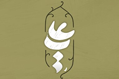 طرح | برترین صدیق