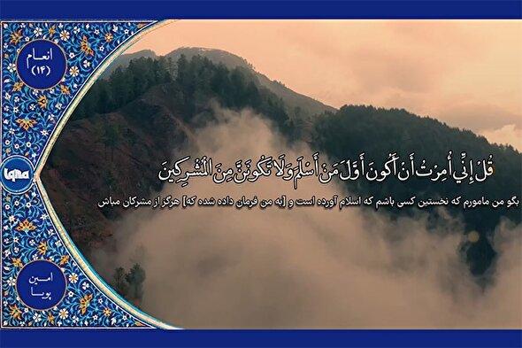 فیلم | فرازی از تلاوت «امین پویا»