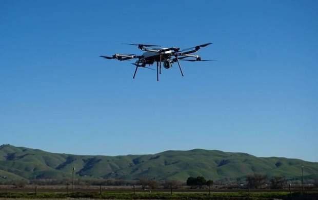 ریز پرنده‌