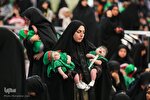 عکس | مراسم شیرخوارگان حسینی در حرم رضوی
