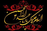 استناد امام حسین(ع) به سوره هود در پاسخ به برادر