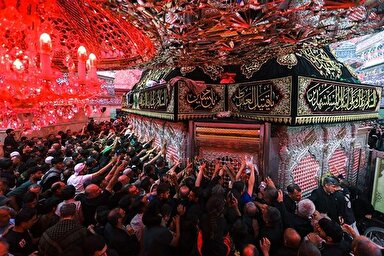 استوری‌موشن | دلی در جستجوی کربلا