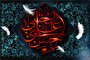 واکاوی مفهوم مذاکره سیاسی در صلح امام حسن(ع)