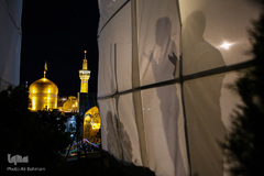 حال و هوای حرم مطهر امام رضا(ع)
