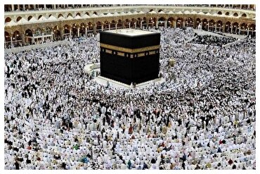 په ۵ میاشتو کې د مفرده عمرې لپاره څه دپاسه ۴میلیونه غوښتې ثبت شوي