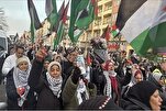 Поддержка большинства немцев создания палестинского...
